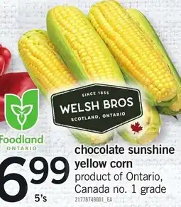 Loblaws Welsh Bros chocolate sunshine yellow corn offer