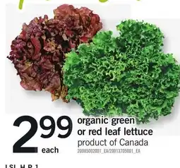 Loblaws organic green or red leaf lettuce offer