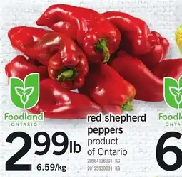 Loblaws Foodland red shepherd peppers offer