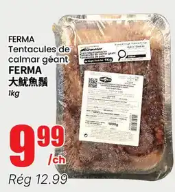 Btrust Supermarket FERMA Tentacules de calmar géant offer