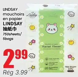 Btrust Supermarket LINDSAY mouchoirs en papier offer