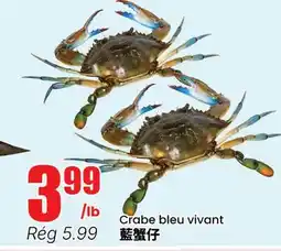 Btrust Supermarket Crabe bleu vivant offer