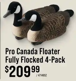 Cabela's Pro Canada Floater Fully Flocked 4-Pack offer
