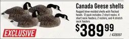 Cabela's Canada Geese shells offer