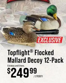 Cabela's Topflight Flocked Mallard Decoy 12-Pack offer