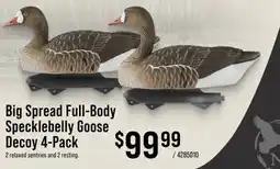 Cabela's Northern Flight Big Spread Full-Body Specklebelly Goose Decoy 4-Pack offer