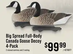 Cabela's Big Spread Full-Body Canada Goose Decoy 4-Pack offer