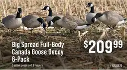 Cabela's Big Spread Full-Body Canada Goose Decoy 6-Pack offer