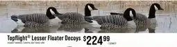 Cabela's Topflight Lesser Floater Decoys offer