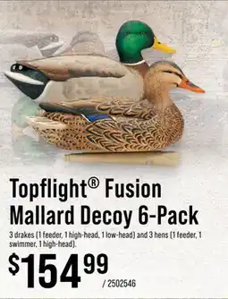 Cabela's Topflight Fusion Mallard Decoy 6-Pack offer