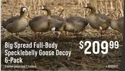 Cabela's Big Spread Full-Body Specklebelly Goose Decoy 6-Pack offer