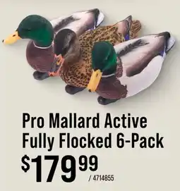 Cabela's Pro Mallard Active Fully Flocked 6-Pack offer