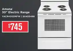 Leon's Amana White Freestanding Electric Range (4.8 Cu. Ft.) - YACR4303MFW offer