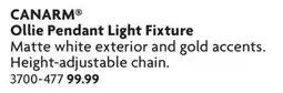 Home Hardware Ollie Pendant Light Fixture offer