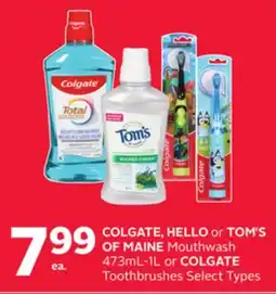 Rexall COLGATE, HELLO or TOM'S OF MAINE Mouthwash 473mL-1L or COLGATE Toothbrushes offer