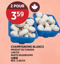 Kim Phat WHITE MUSHROOMS offer