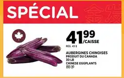 Kim Phat CHINESE EGGPLANTS offer