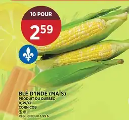 Kim Phat CORN COB offer