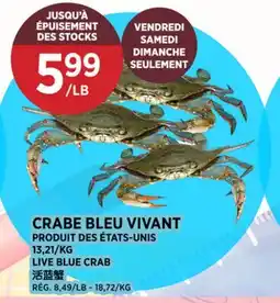 Kim Phat LIVE BLUE CRAB offer