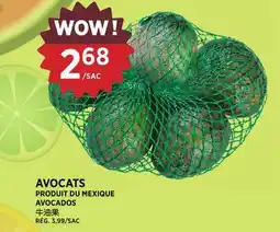 Kim Phat AVOCADOS offer