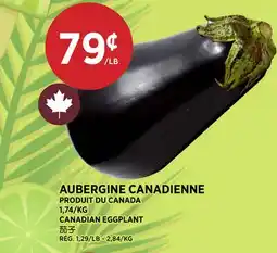 Kim Phat CANADIAN EGGPLANT offer