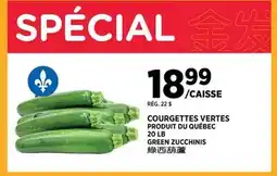 Kim Phat GREEN ZUCCHINIS offer