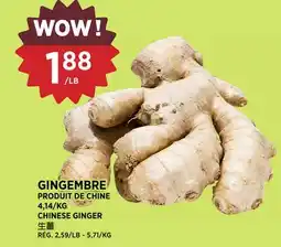 Kim Phat CHINESE GINGER offer