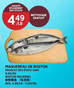Kim Phat BOSTON MACKEREL offer