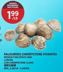Kim Phat LIVE CHERRYSTONE CLAMS offer