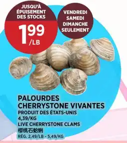 Kim Phat LIVE CHERRYSTONE CLAMS offer
