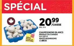 Kim Phat WHITE MUSHROOMS offer