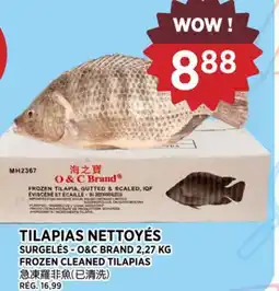 Kim Phat O&C BRAND FROZEN CLEANED TILAPIAS offer