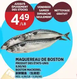 Kim Phat BOSTON MACKEREL offer