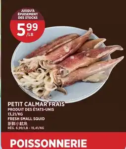 Kim Phat FRESH SMALL SQUID offer