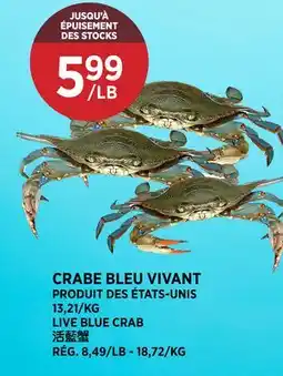 Kim Phat LIVE BLUE CRAB offer