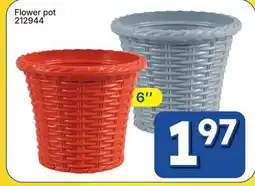 Rossy Flower pot offer