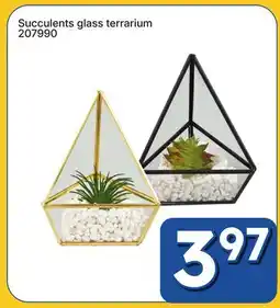 Rossy Succulents glass terrarium offer