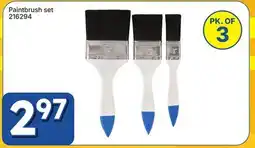 Rossy Paintbrush set offer