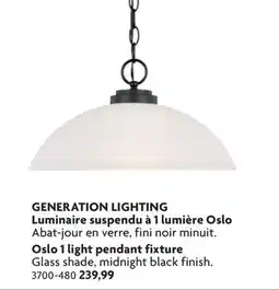 Home Hardware Oslo 1 light pendant fixture offer