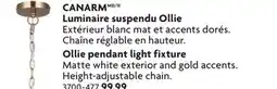 Home Hardware Ollie pendant light fixture offer