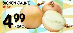 Marche Salaberry OIGNON JAUNE offer