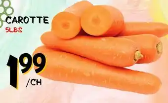 Marche Salaberry CAROTTE offer