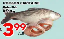 Marche Salaberry POISSON CAPITAINE offer