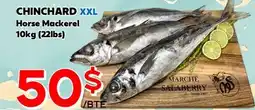 Marche Salaberry CHINCHARD XXL offer
