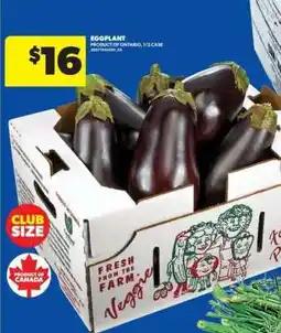 Real Canadian Superstore EGGPLANT offer
