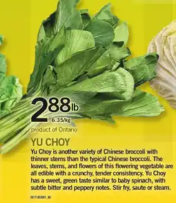 Loblaws Yu Choy offer