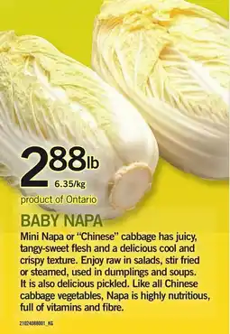 Loblaws Baby napa offer