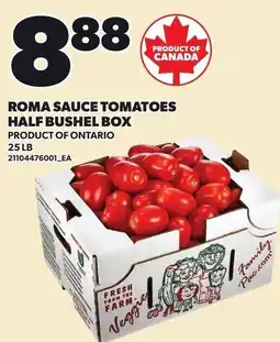 Loblaws Roma sauce tomatoes half bushel box offer