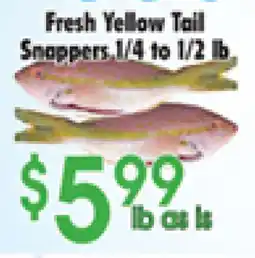 Danforth Food Market Fresh Yellow Tail Snappers offer