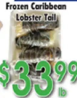 Danforth Food Market Frozen Caribbean Lobster Tail offer